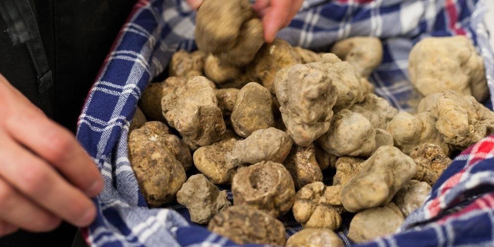  Italia in autunno: andare per sagre